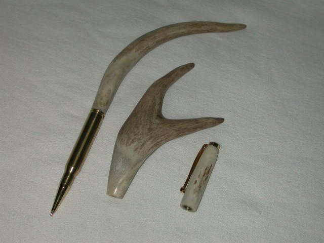 20081131126_TryAntler5.jpg