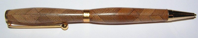 2008116231123_spen7.jpg