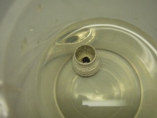 2008116235843_P1150455.jpg