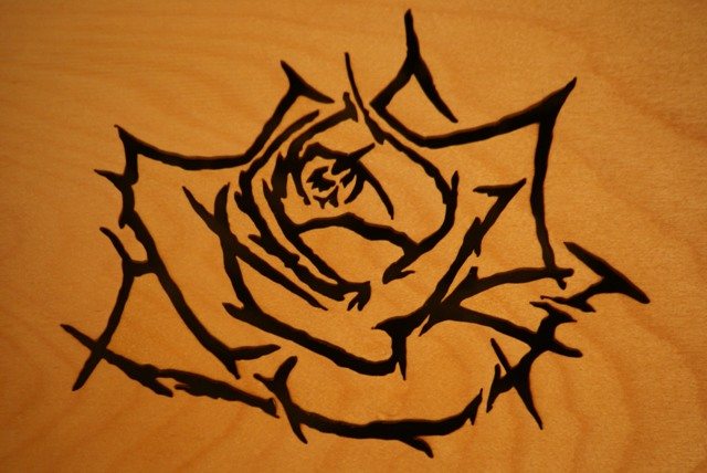 200812832443_Rose.jpg