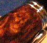 2008130205522_DSCF0066c.jpg
