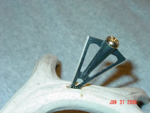2008131201020_DSC03199.jpg