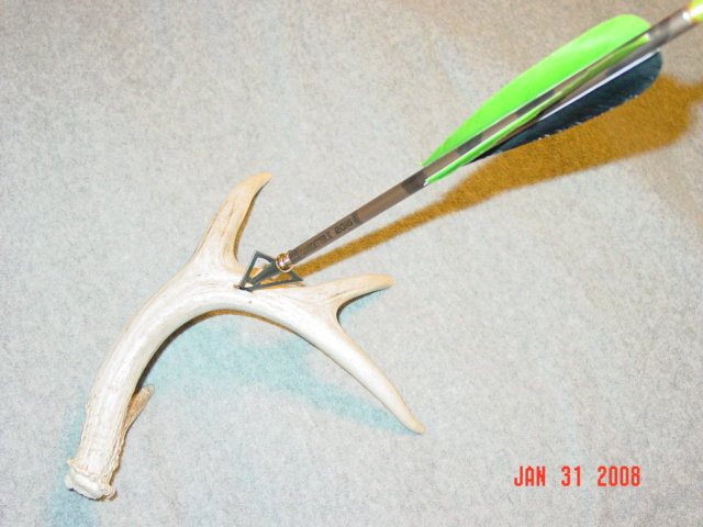 2008131201050_DSC03197.jpg
