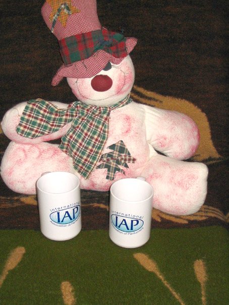 20081401353_mugsone.jpg