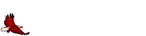 200821702558_soaring20eagle.gif