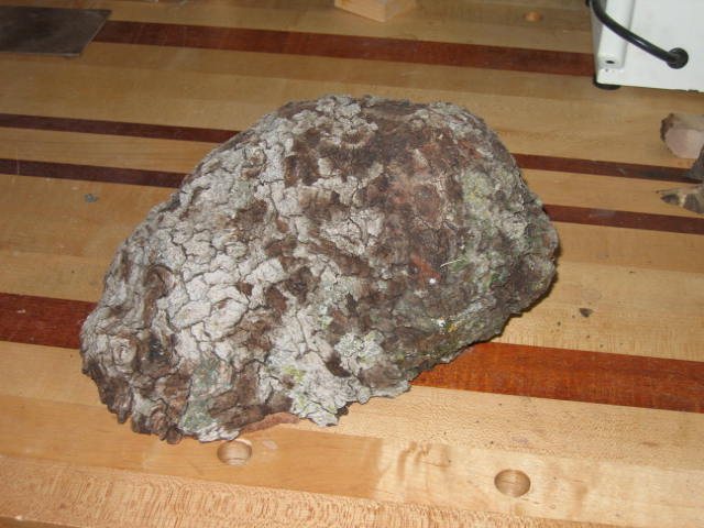 200821832239_IMG_1573.jpg