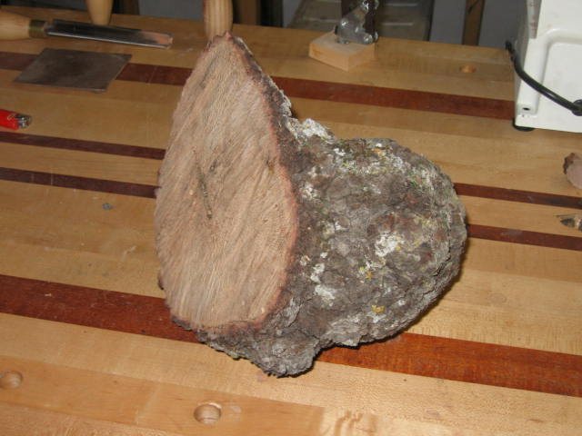20082183228_IMG_1572.jpg