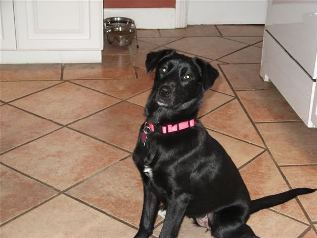 200822023129_Chey.jpg