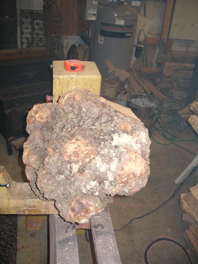 2008226152324_redoakone.jpg