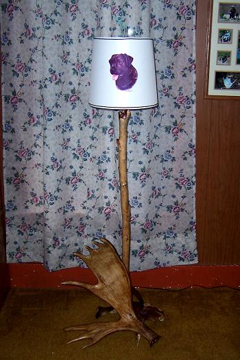20083123322_181-Lamp%2049-52-48%20B.jpg