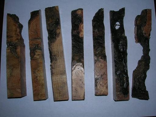 20083203112_di%20blanks.jpg