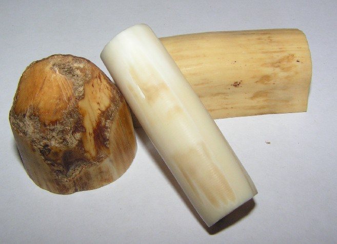 200832114576_hippoivory.jpg