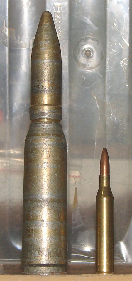 200832417014_shells.jpg