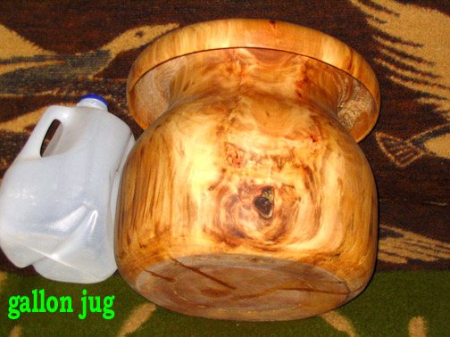 200832520410_sycaone.jpg