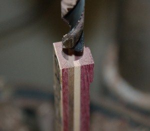 20083524723_ch2.jpg