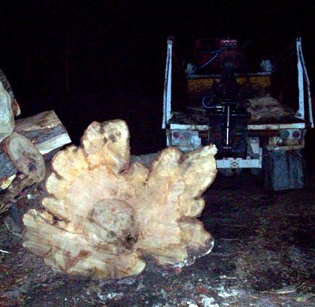 2008415101835_maple%20burl%201.jpg