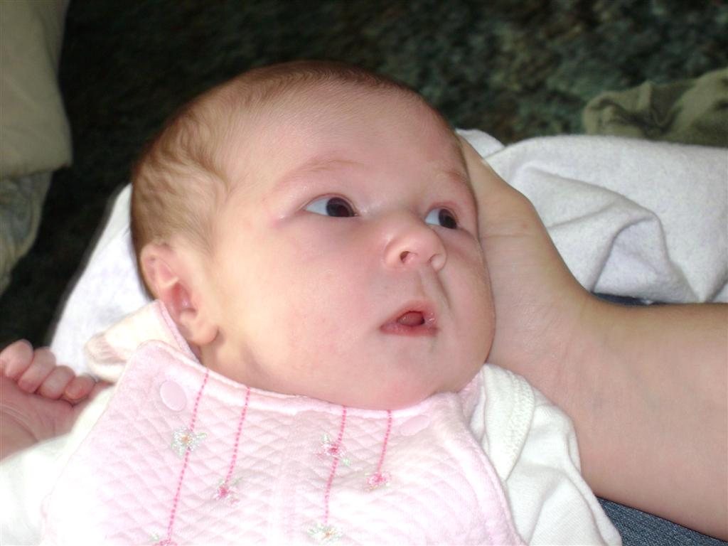 200841822245_lexi2.jpg