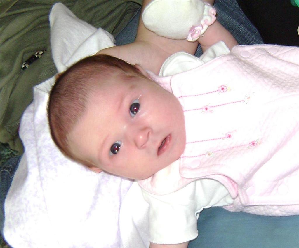 20084182234_lexi3.jpg