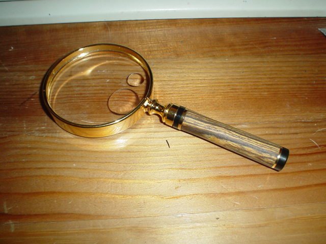 2008420335_DSC03550.jpg