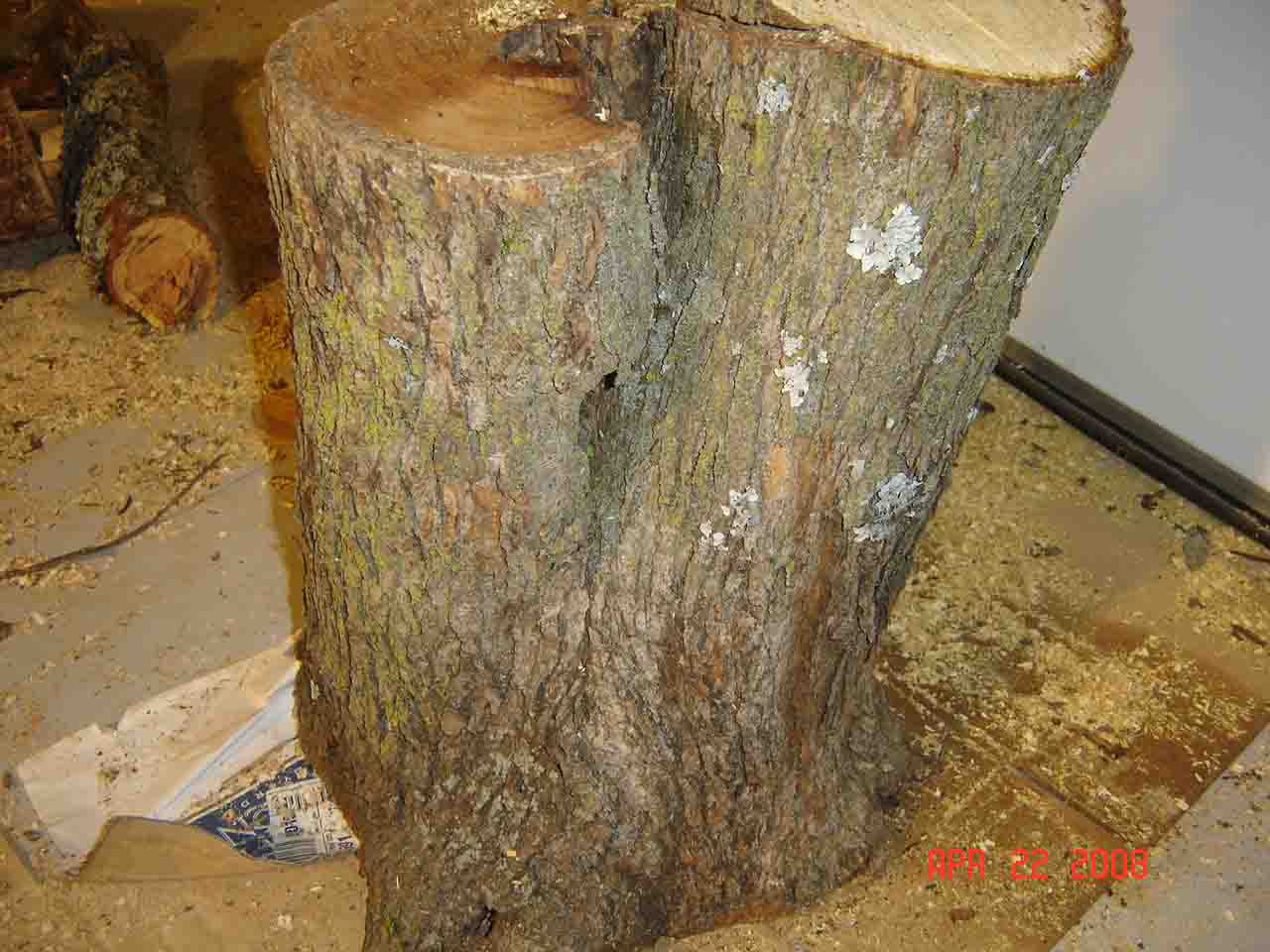 200842321219_wood.jpg