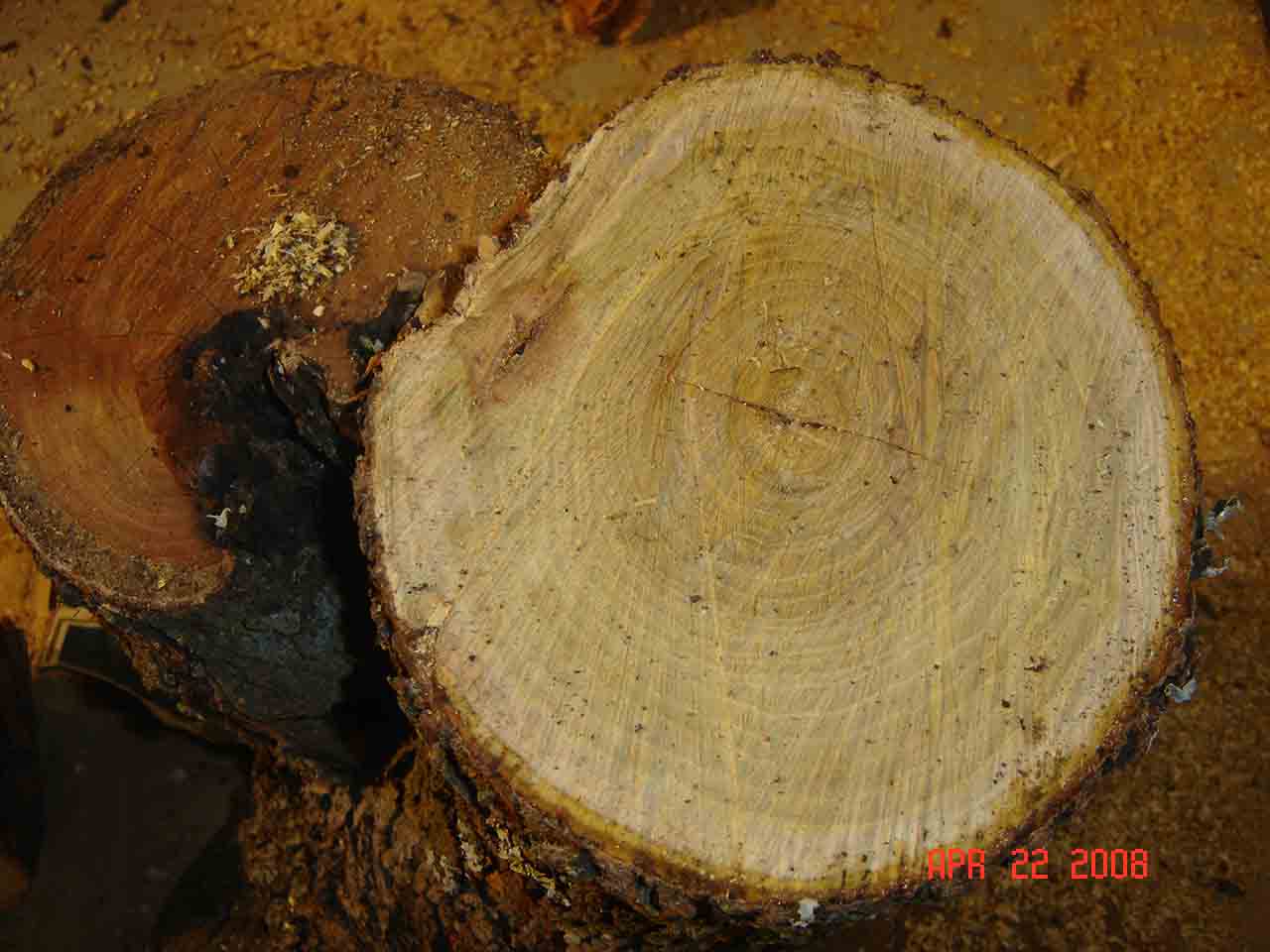 200842335619_wood_end.jpg