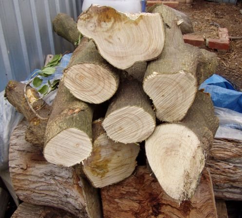 2008511105347_log2.jpg