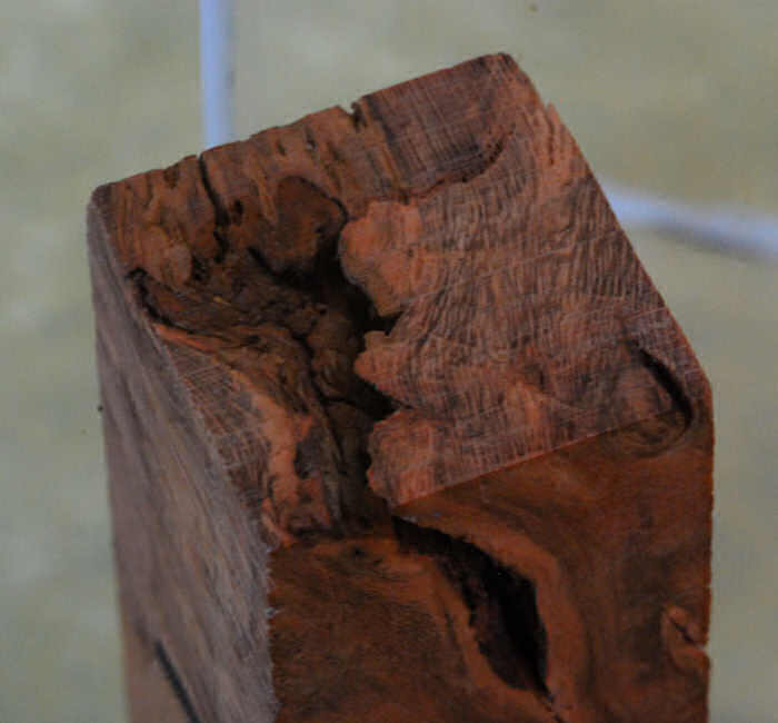 20086103224_crevice.jpg