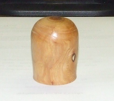 20086150244_Elm.jpg