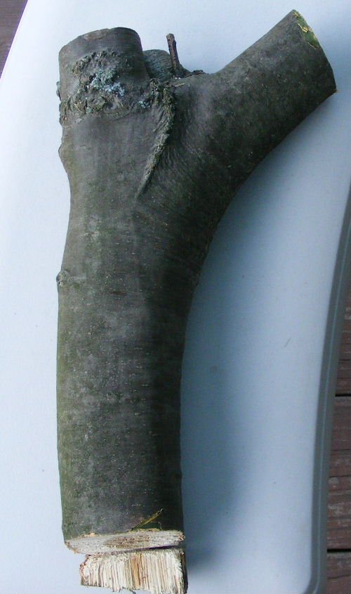 200871613184_1.jpg