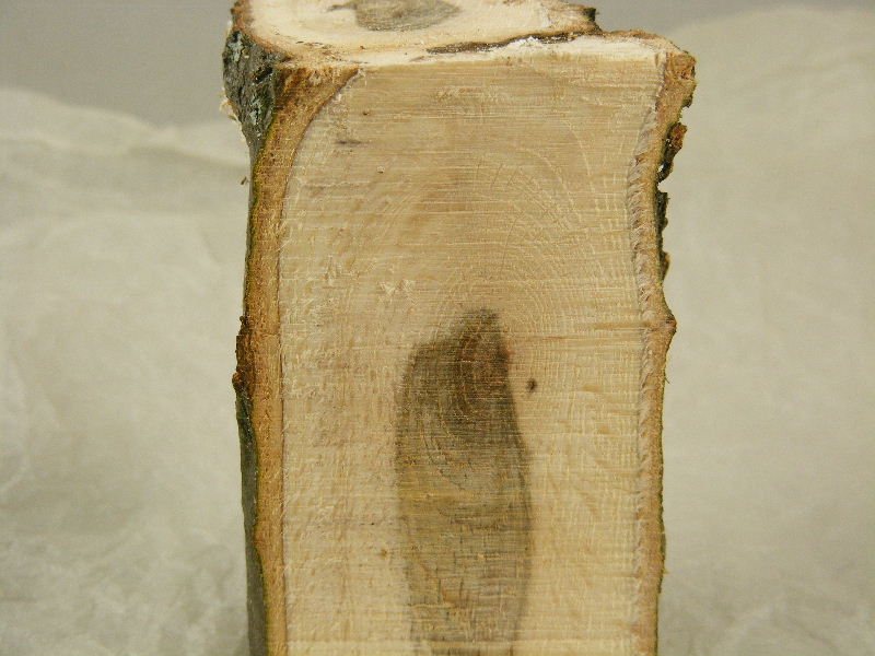 2008716131857_3.jpg