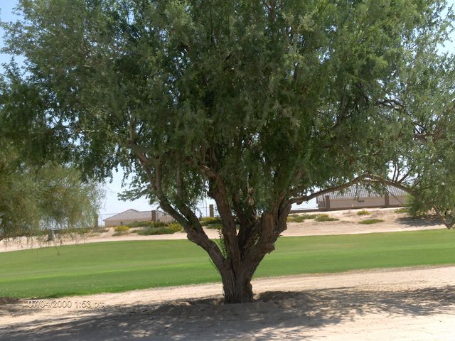 20087919464_HPIM0935.jpg