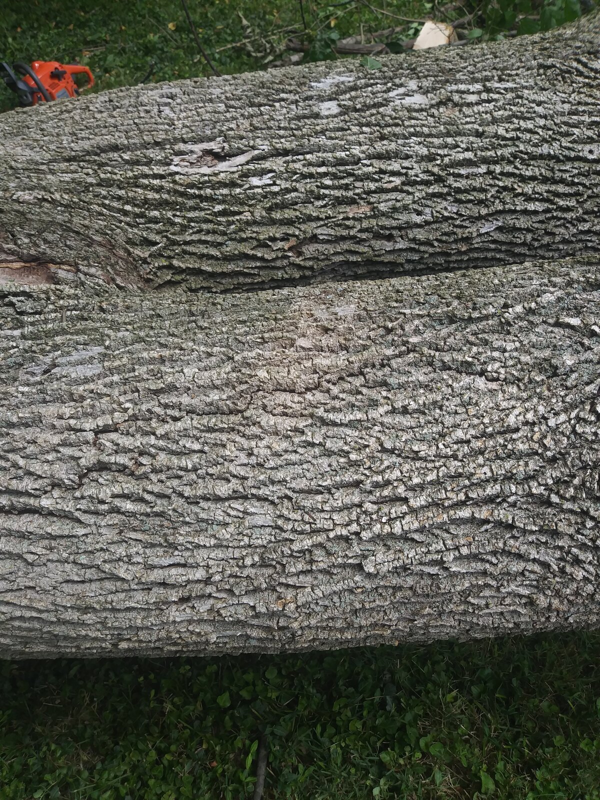 20200718_113706.jpg
