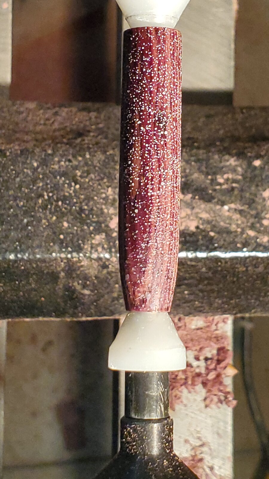 20201009_170116.jpg