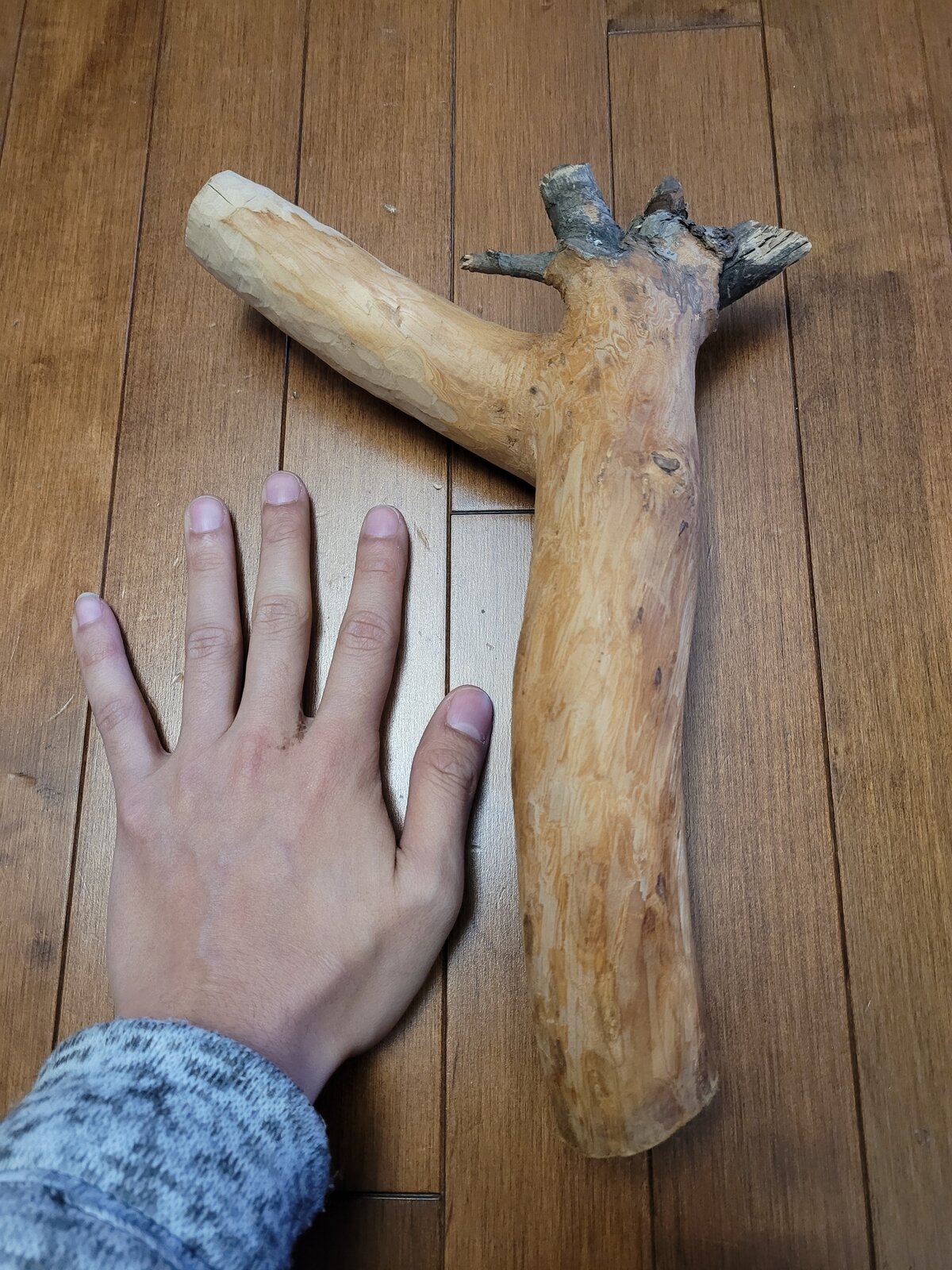 20211127_101553.jpg
