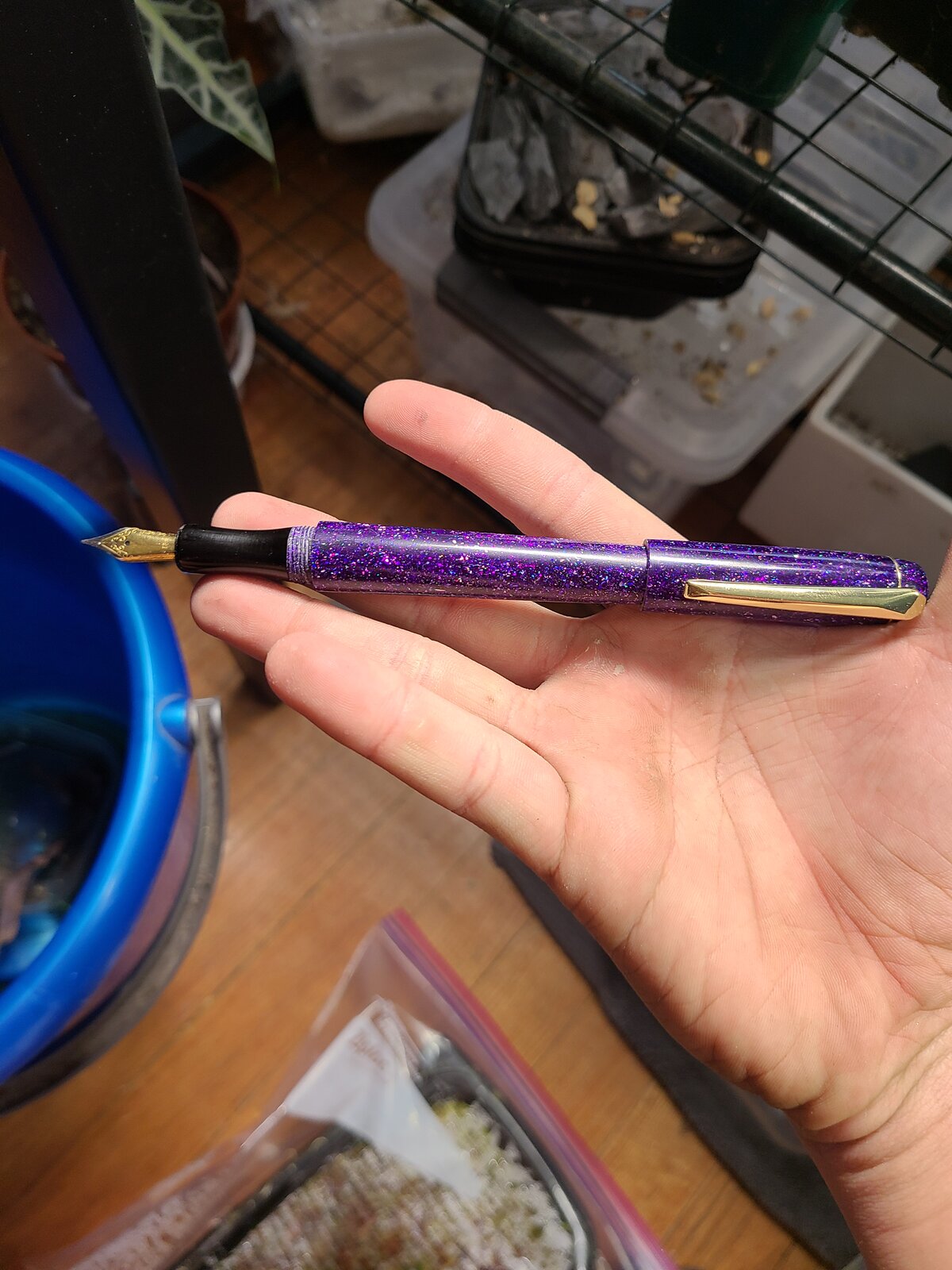 20220129_185405.jpg