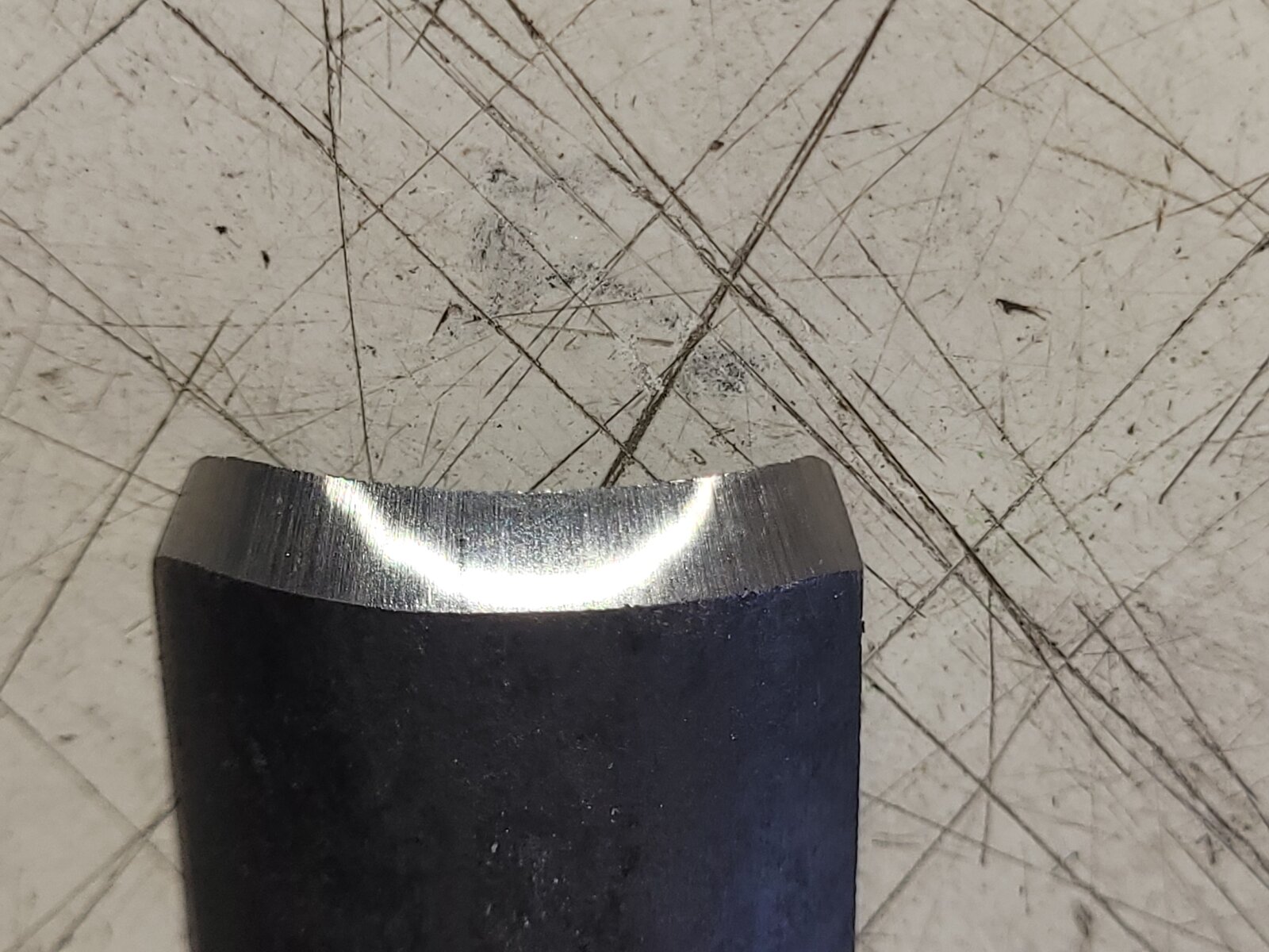20230411_125153.jpg
