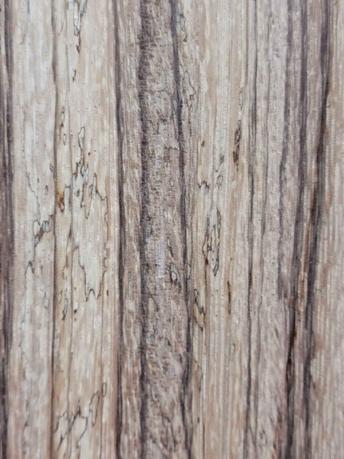 20231109_171408.jpg