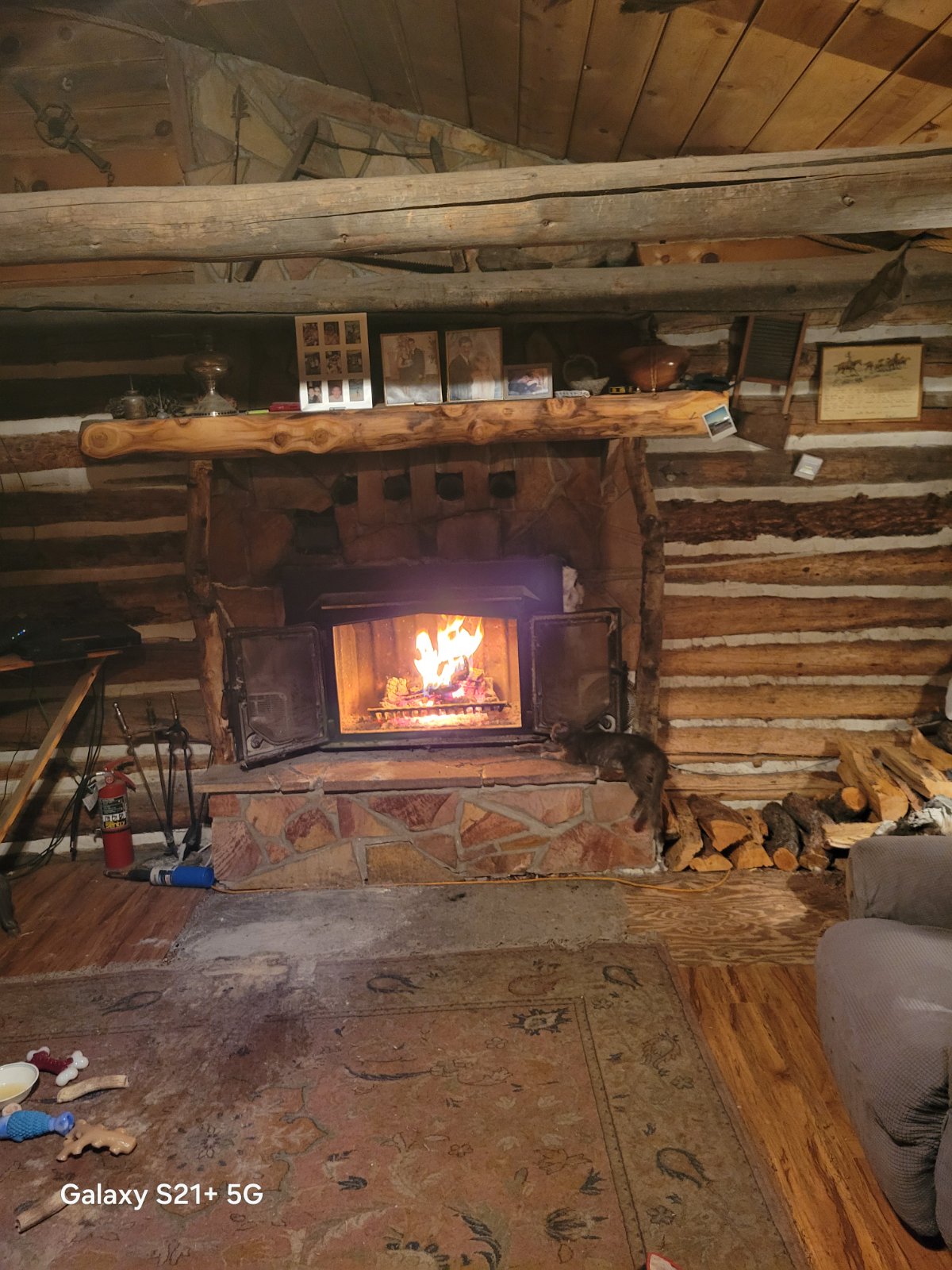 20250315_061349.jpg