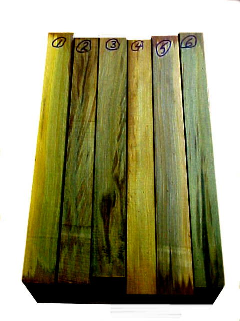 2450_Green%20and%20yellow%20kauri%20%2072%20pixels.jpg