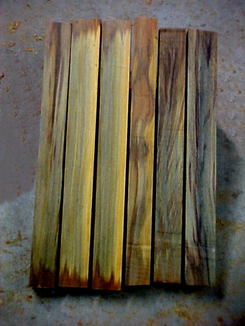 356_Green%20and%20yellow%20kauri%204%2072%20pixels.jpg