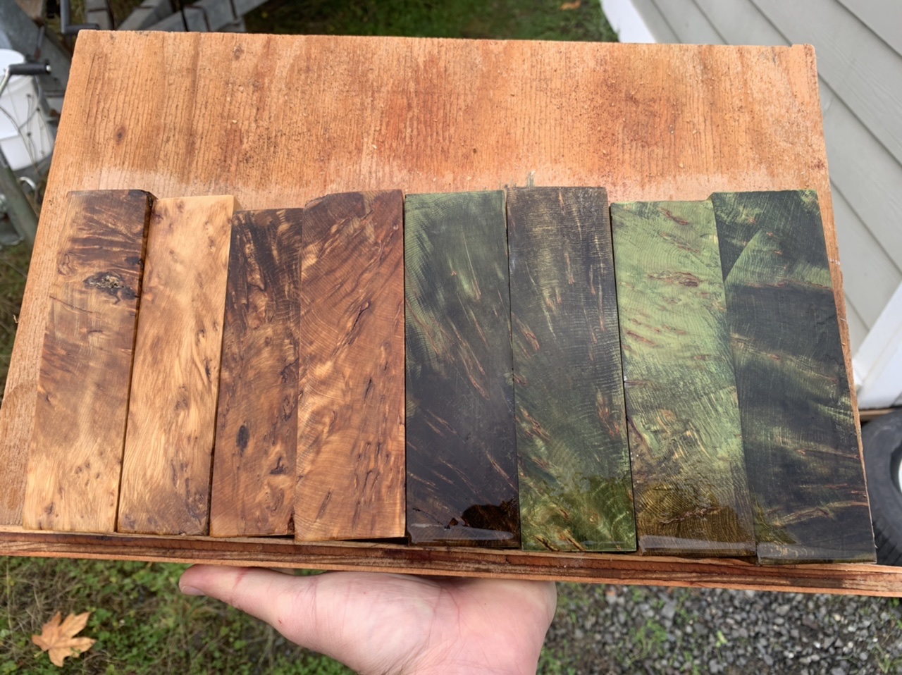 CIGAR CELLAR in varnished cedar, inlaid borders showing …
