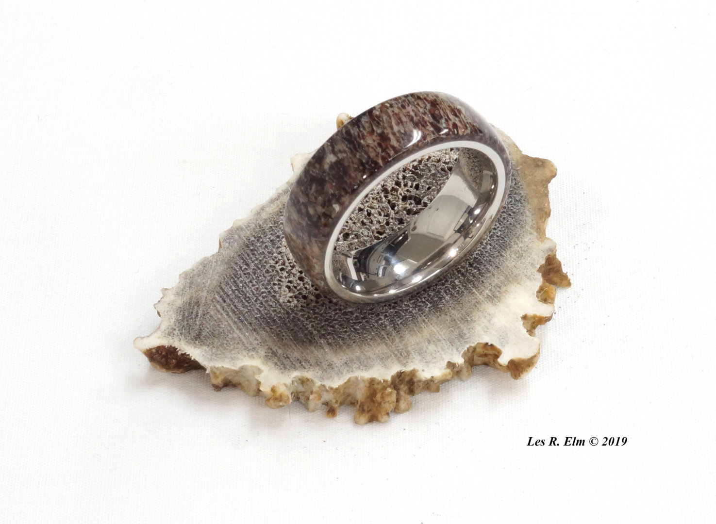 5 - Elk Antler SS 11 X 8mm.JPG