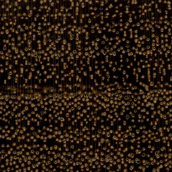 80542F37-C5FD-4EB7-871A-01F4C677600C.jpeg