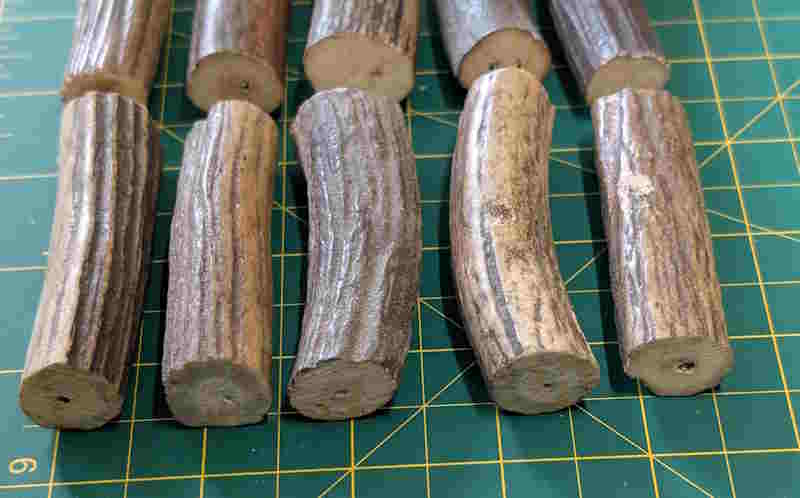 antler 2.jpg