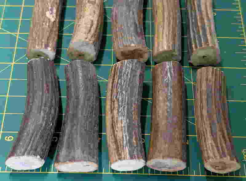 antler 3.jpg
