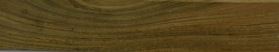Argentine Lignum Vitae.JPG