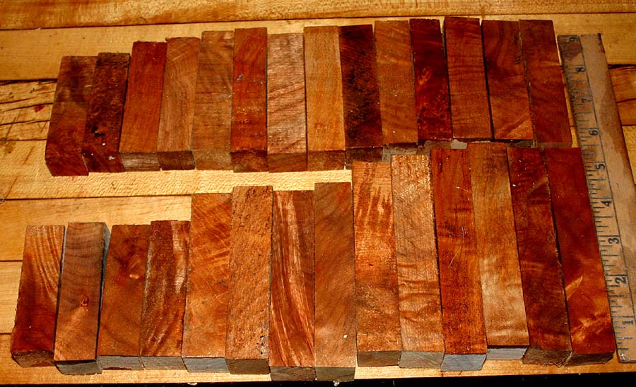 big leaf 001.JPG