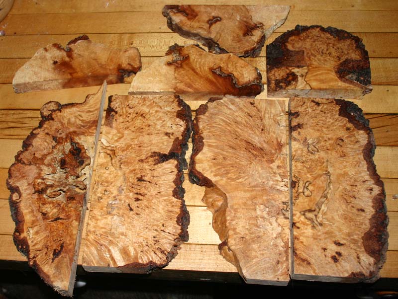 Birch burl 001.JPG