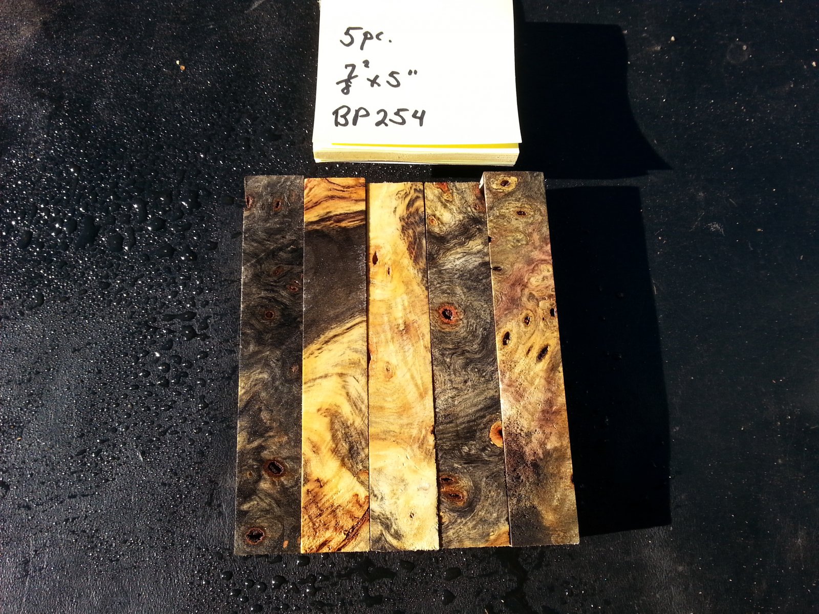 bp254a.jpg