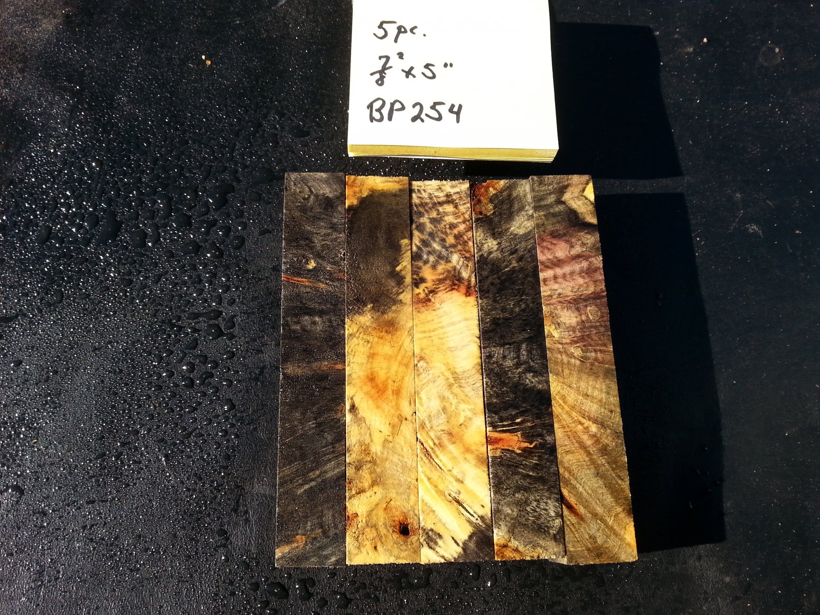 bp254b.jpg